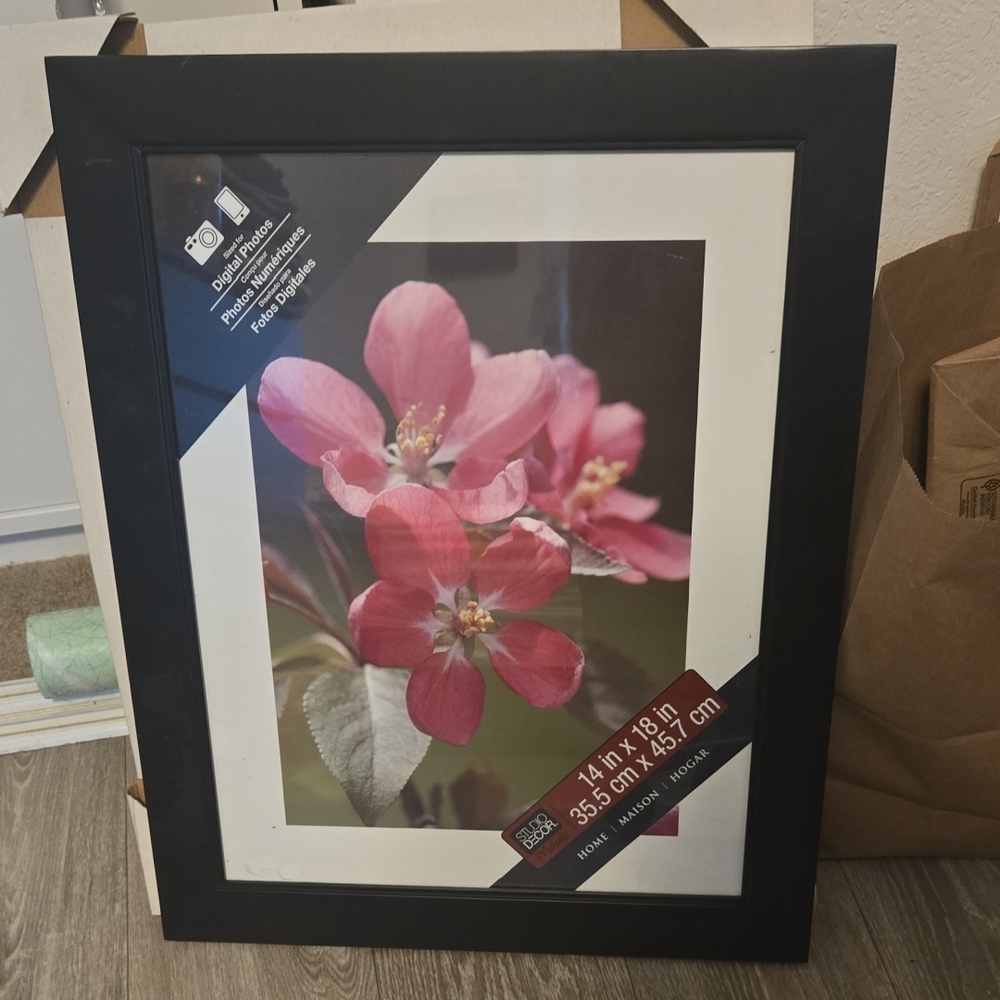 14 X 18 Studio Decor Black Frame